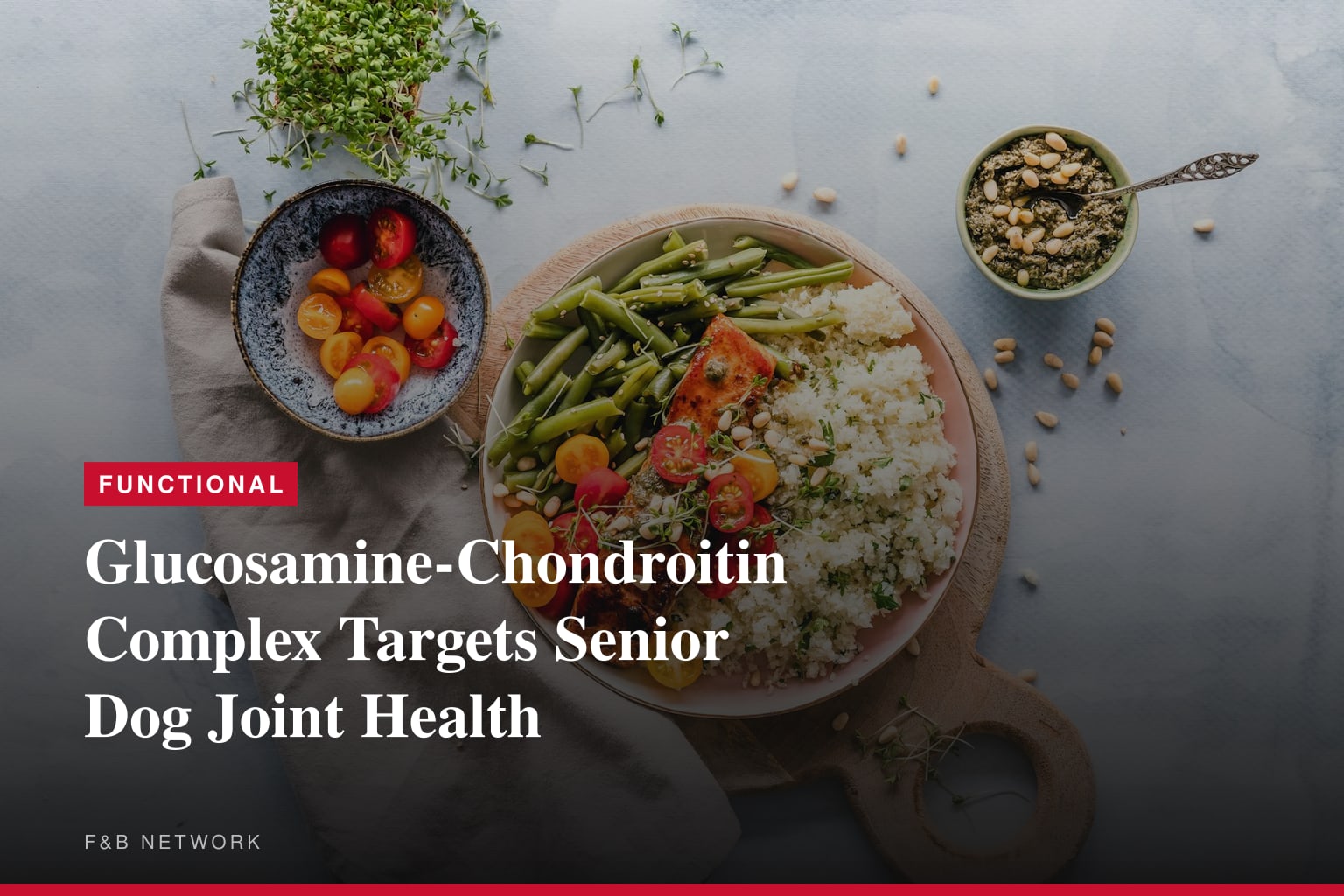 Senior Dog Joint Supplements: What Veterinarians Look For
