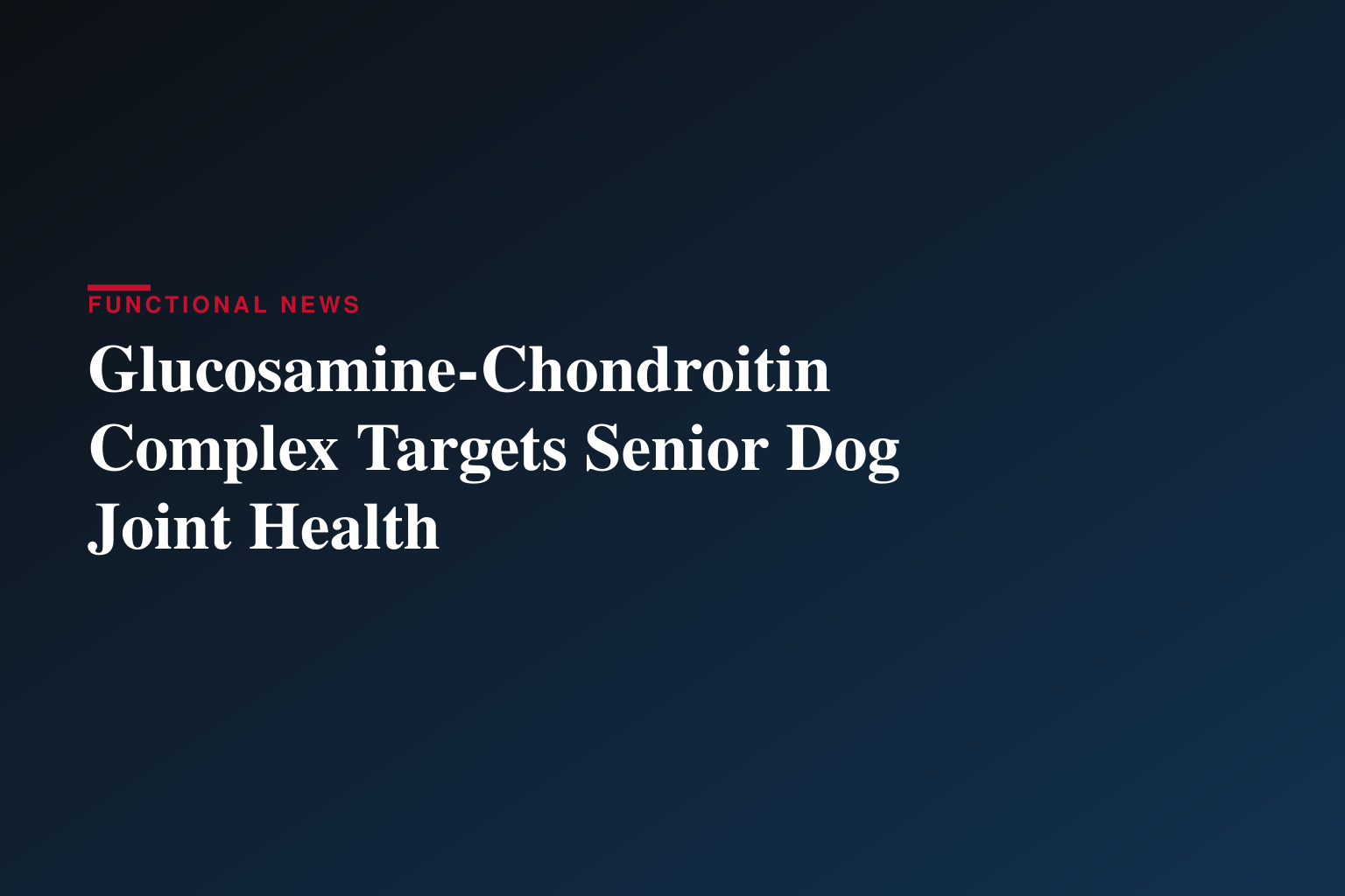 Senior Dog Joint Supplements: What Veterinarians Look For
